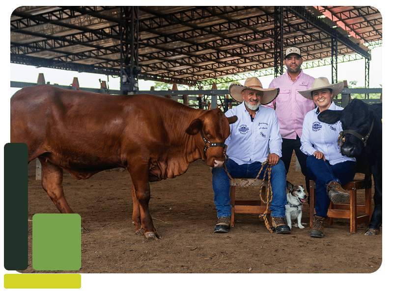 asesoria-finca-1